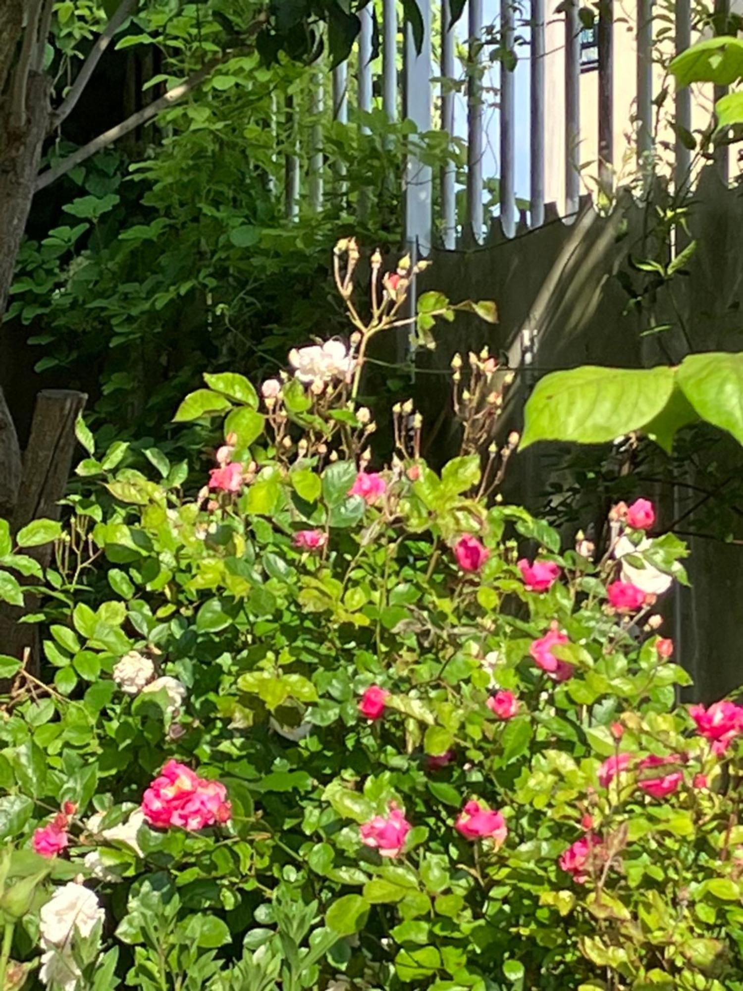 La Villa Lauvray Vétheuil エクステリア 写真
