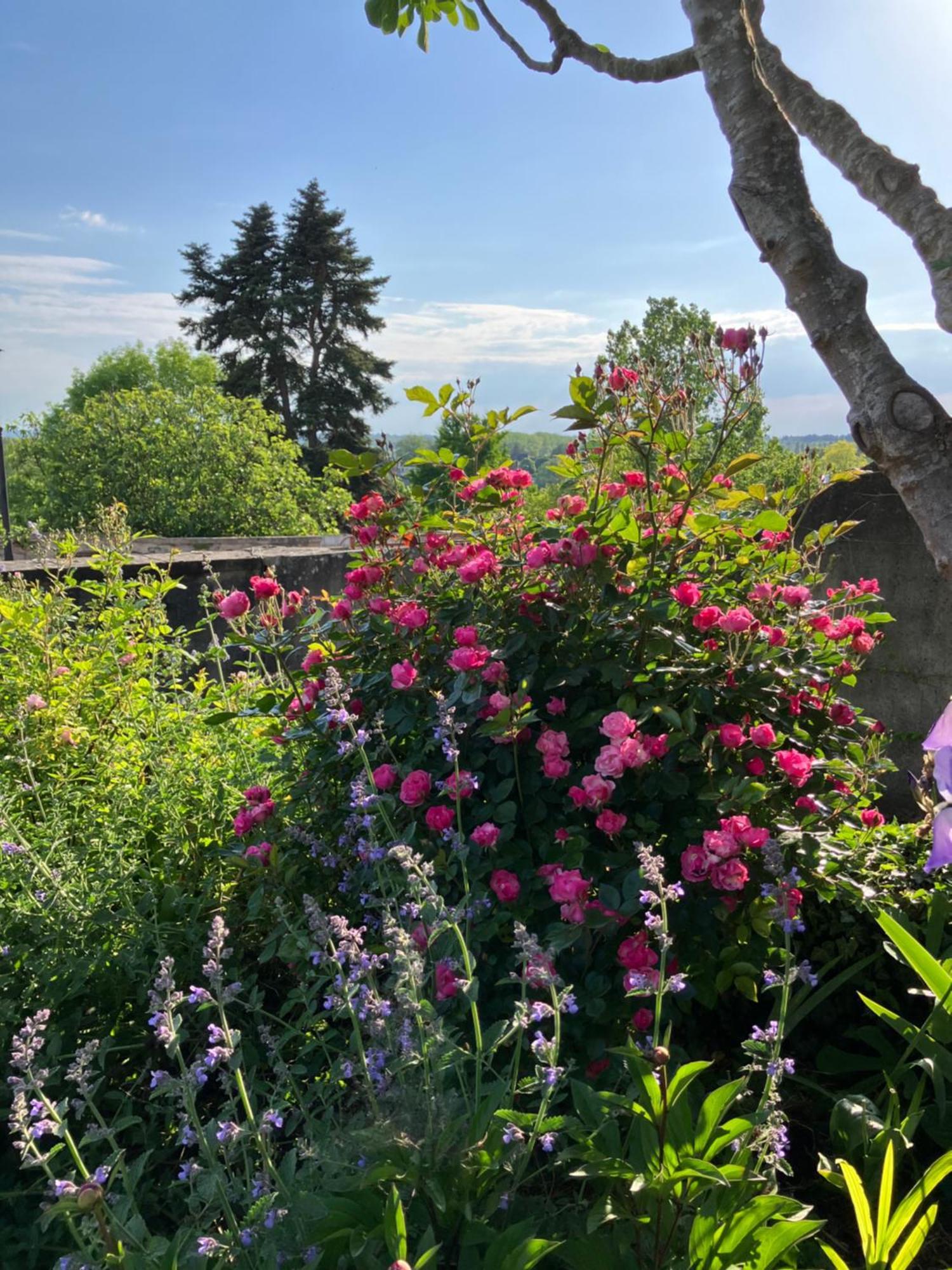 La Villa Lauvray Vétheuil エクステリア 写真